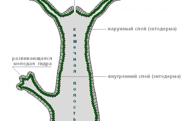 Kra31cc