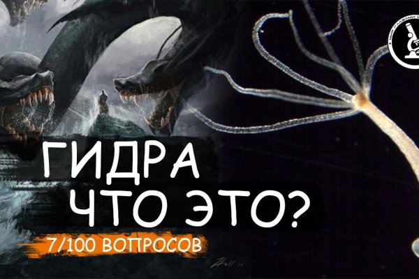 Кракен наркота что это