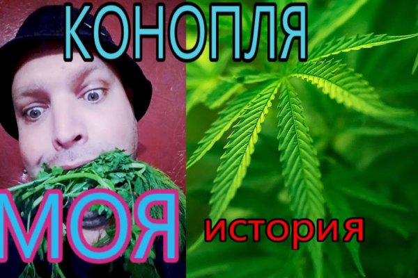 Кракен точка