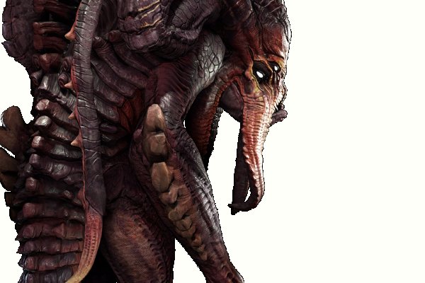 Kraken russia