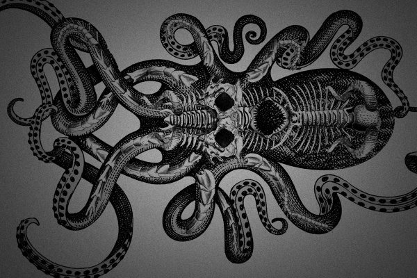 Официальный сайт kraken kraken clear com