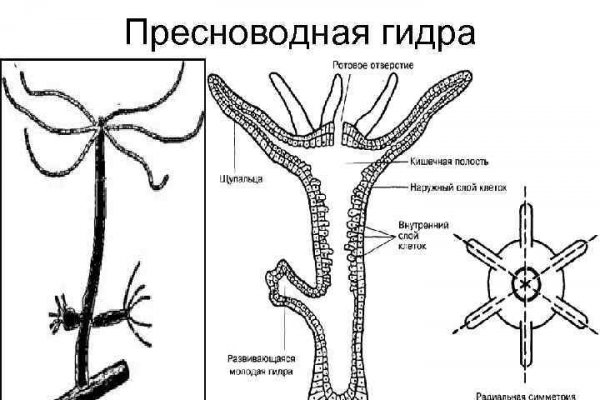 Darknet ссылки
