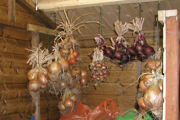 Кракен сайт зеркало рабочее на сегодня